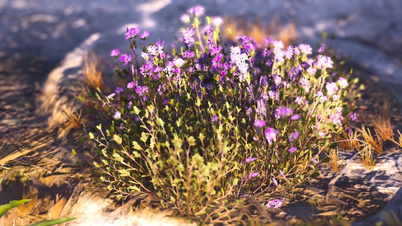 Studies on Breaking Immersion